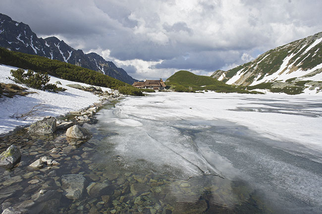 Primavera in montagna image