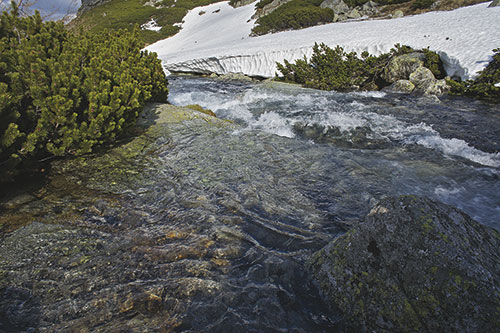 Spring in the mountains image