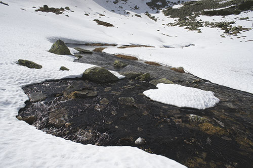 Spring in the mountains image